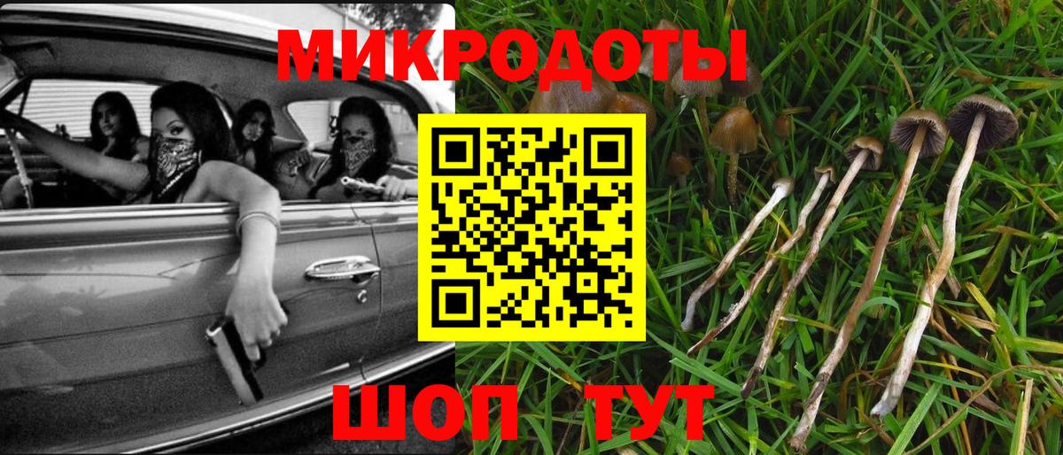 Галлюциногенные грибы Psilocybe  Вход с VPN  Калуга 