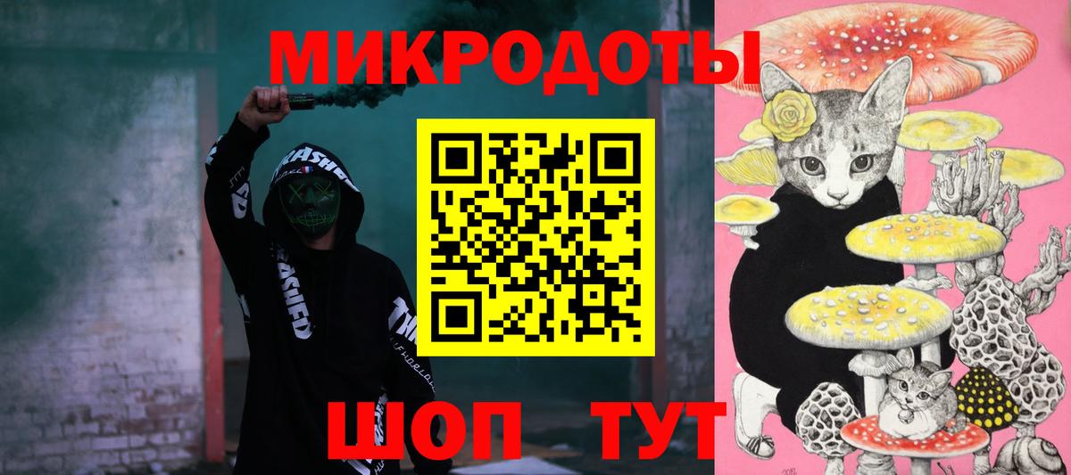 Галлюциногенные грибы Psilocybe Калуга